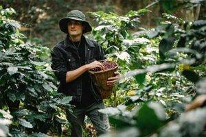A man farming coffee at altitude, this sits on the bean merchant blog explaining how altitude affects coffee flavours